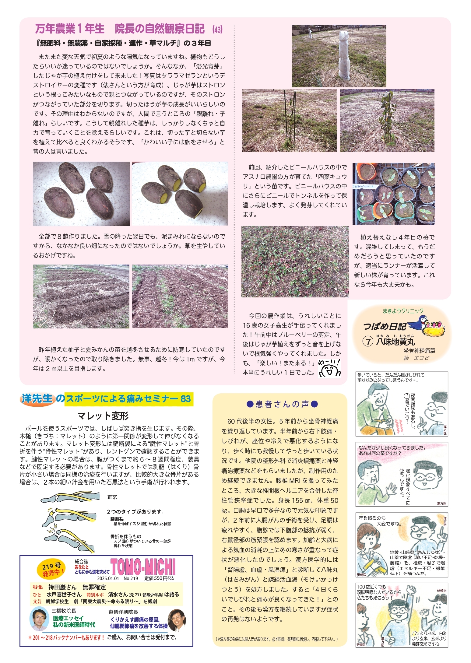 クリニックニュース4月号2面